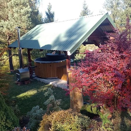 Domek Nad Stawem Siemuszowa Tyrawa Woloska Экстерьер фото