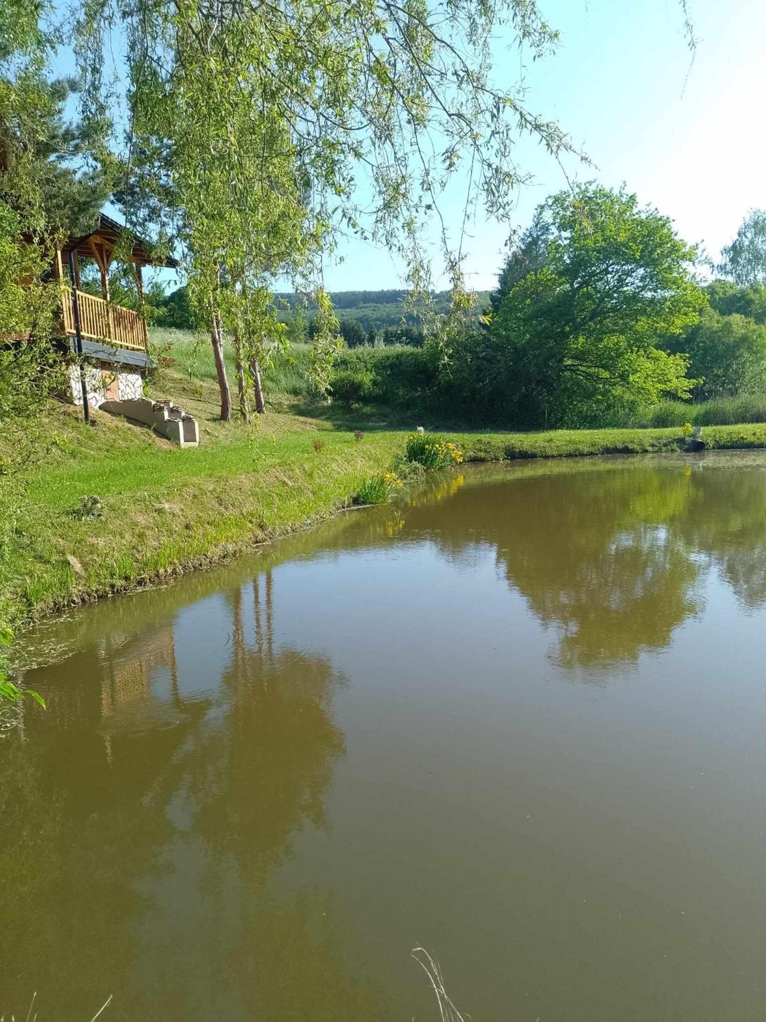 Domek Nad Stawem Siemuszowa Tyrawa Woloska Экстерьер фото