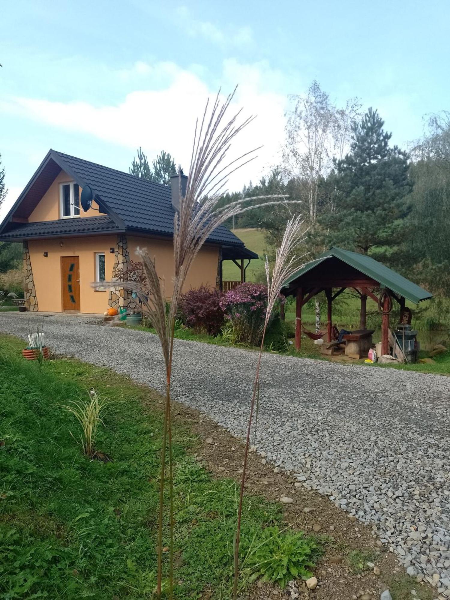 Domek Nad Stawem Siemuszowa Tyrawa Woloska Экстерьер фото