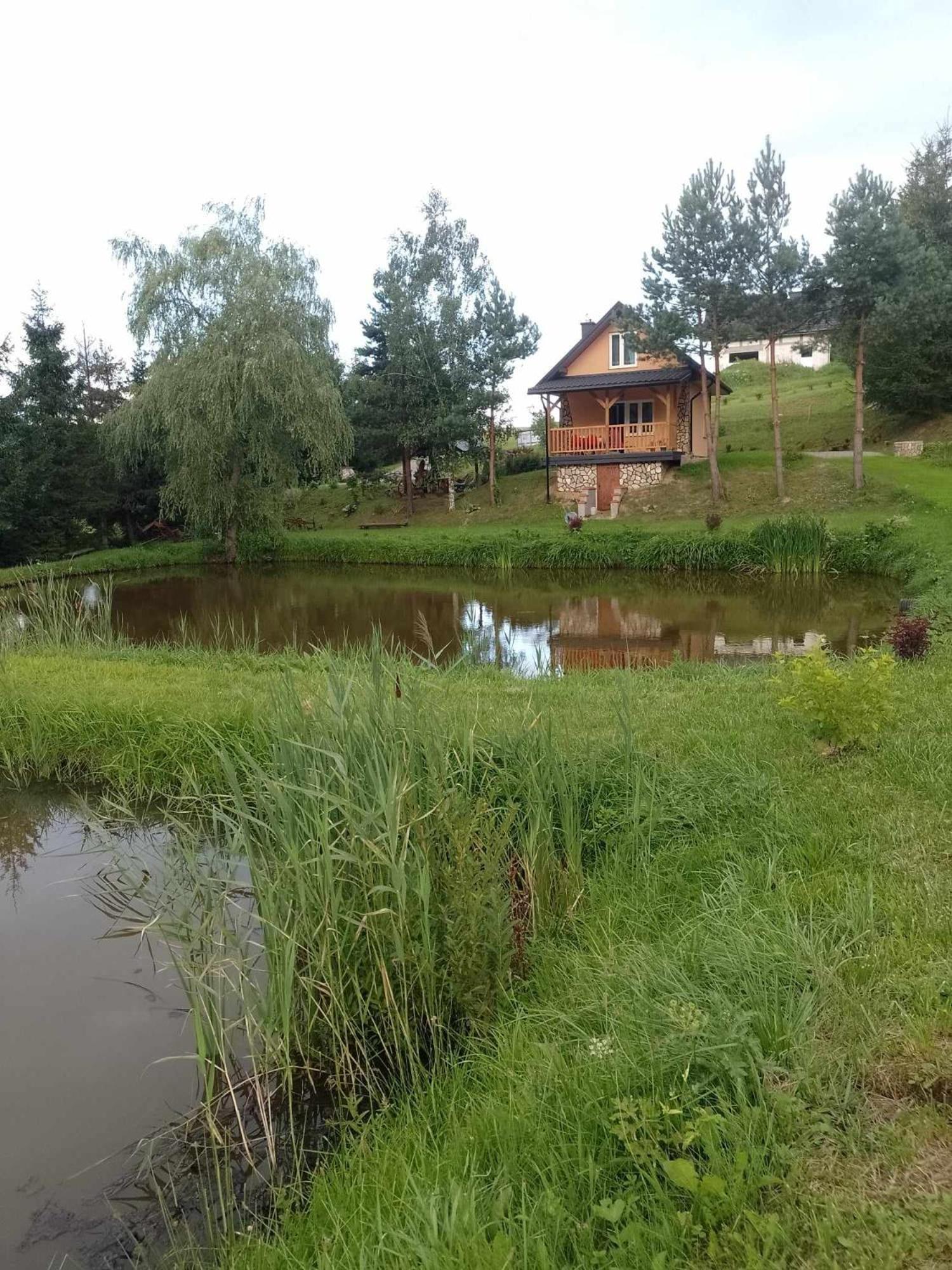 Domek Nad Stawem Siemuszowa Tyrawa Woloska Экстерьер фото