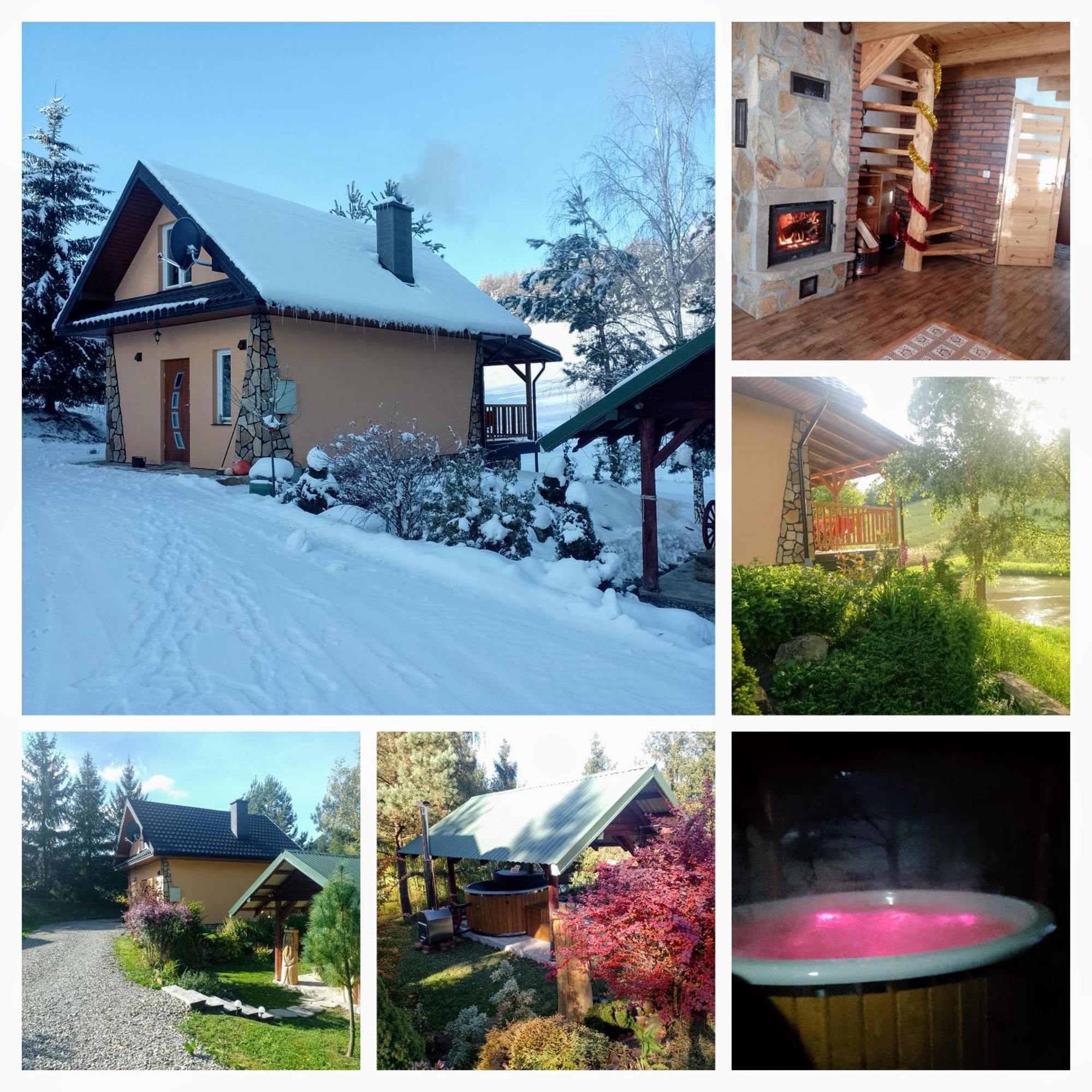 Domek Nad Stawem Siemuszowa Tyrawa Woloska Экстерьер фото